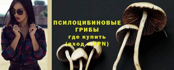 меф Белокуриха