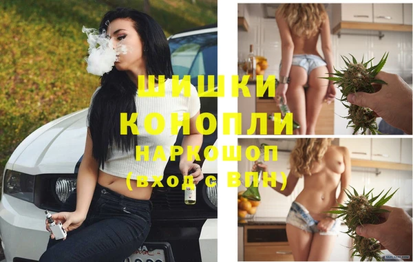 стаф Белоозёрский
