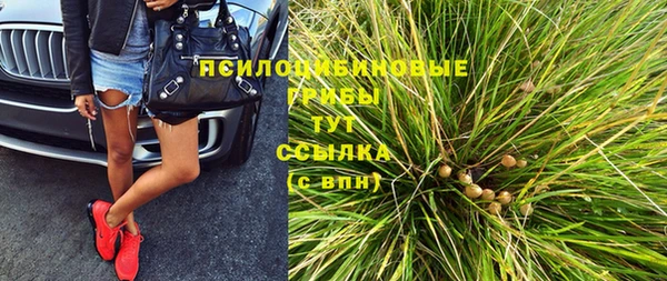 меф Белокуриха