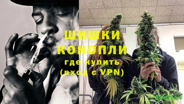 стаф Белоозёрский